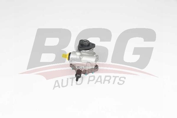 BSG 15-355-024 Hydraulic Pump, steering system 15355024: Buy near me in Poland at 2407.PL - Good price!