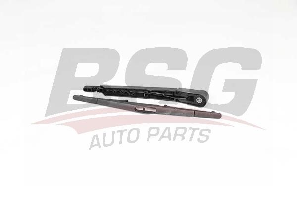 BSG 15-990-010 Wiper Arm Set, window cleaning 15990010: Buy near me in Poland at 2407.PL - Good price!