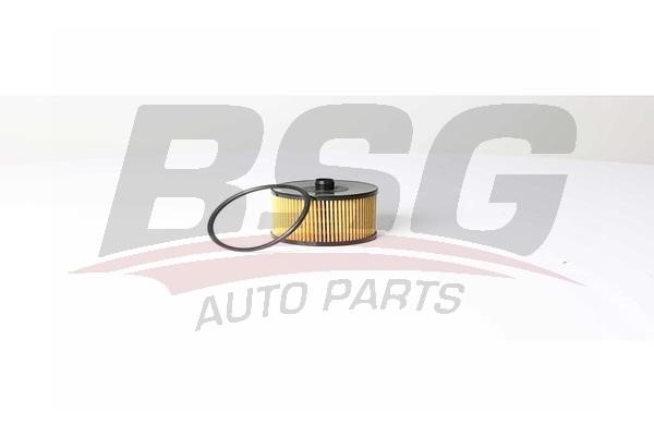 BSG 30-130-018 Fuel filter 30130018: Buy near me in Poland at 2407.PL - Good price!