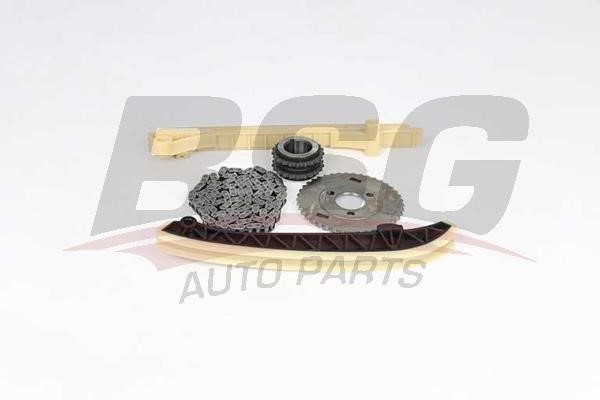 BSG 60-102-013 Timing chain kit 60102013: Buy near me in Poland at 2407.PL - Good price!