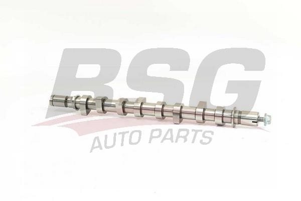 BSG 75-108-003 Camshaft 75108003: Buy near me at 2407.PL in Poland at an Affordable price!
