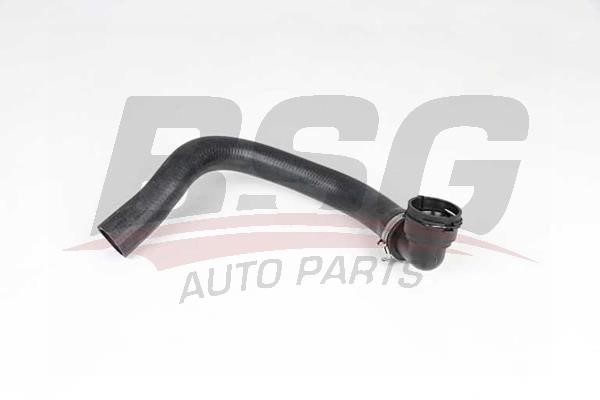 BSG 65-700-422 Radiator hose 65700422: Buy near me at 2407.PL in Poland at an Affordable price!
