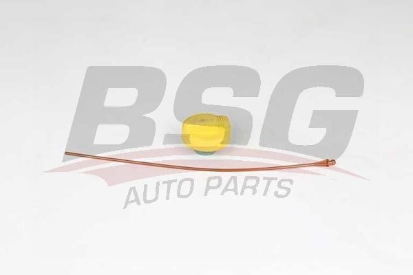 BSG 75-123-010 ROD ASSY-OIL LEVEL GAUGE 75123010: Buy near me at 2407.PL in Poland at an Affordable price!