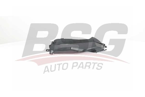 BSG 75-116-006 Cover, timing belt 75116006: Buy near me in Poland at 2407.PL - Good price!