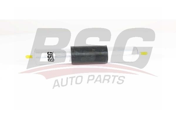 BSG 15-130-006 Fuel filter 15130006: Buy near me in Poland at 2407.PL - Good price!
