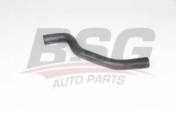 BSG 65-700-489 Radiator hose 65700489: Buy near me at 2407.PL in Poland at an Affordable price!