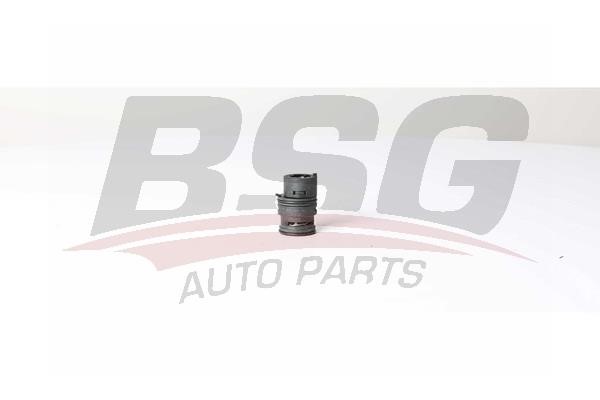 BSG 15-125-008 Thermostat, oil cooling 15125008: Buy near me in Poland at 2407.PL - Good price!