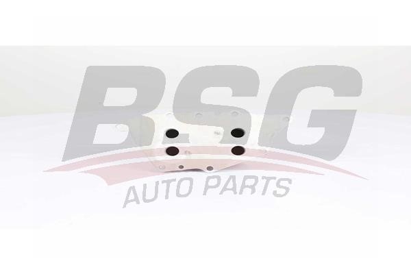 BSG 15-506-017 Oil Cooler, engine oil 15506017: Buy near me in Poland at 2407.PL - Good price!