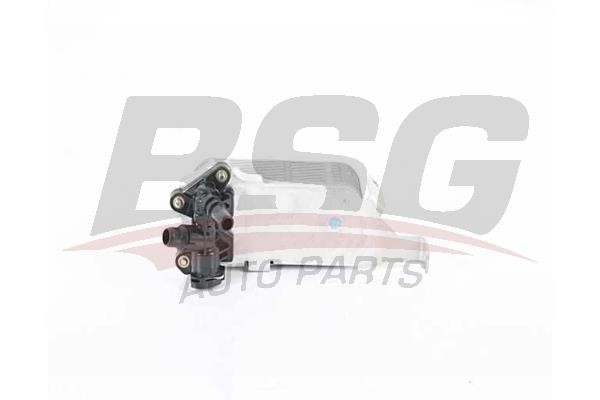BSG 15-506-043 Oil Cooler, automatic transmission 15506043: Buy near me in Poland at 2407.PL - Good price!