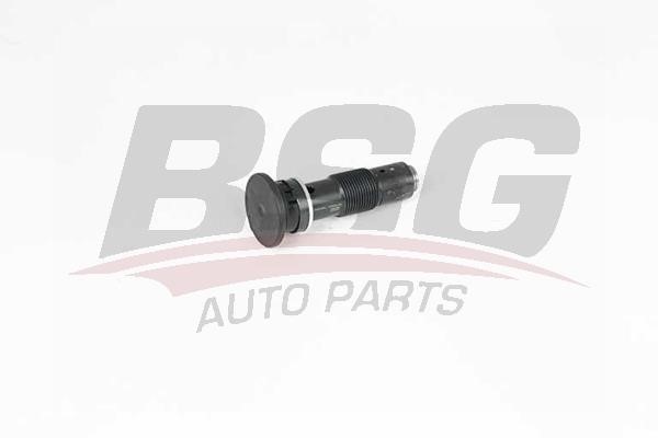 BSG 60-109-023 Timing Chain Tensioner 60109023: Buy near me in Poland at 2407.PL - Good price!