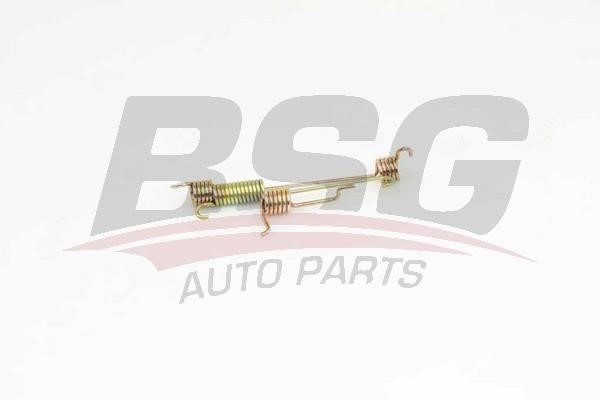 BSG 30-260-011 Mounting kit brake pads 30260011: Buy near me in Poland at 2407.PL - Good price!