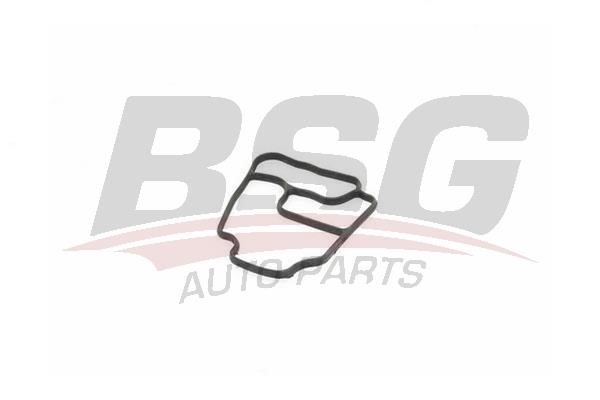 BSG 15-116-008 Seal, oil filter housing 15116008: Buy near me in Poland at 2407.PL - Good price!