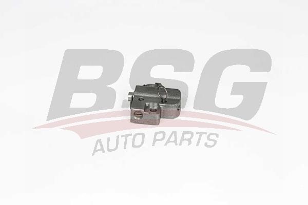 BSG 30-109-028 Timing Chain Tensioner 30109028: Buy near me in Poland at 2407.PL - Good price!