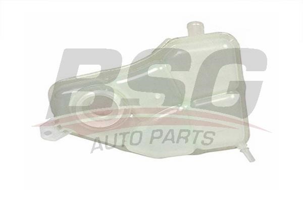 BSG 30-550-008 Expansion Tank, coolant 30550008: Buy near me in Poland at 2407.PL - Good price!