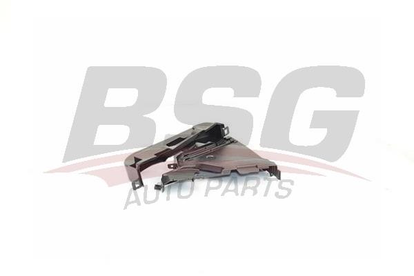 BSG 75-116-001 Cover, timing belt 75116001: Buy near me in Poland at 2407.PL - Good price!