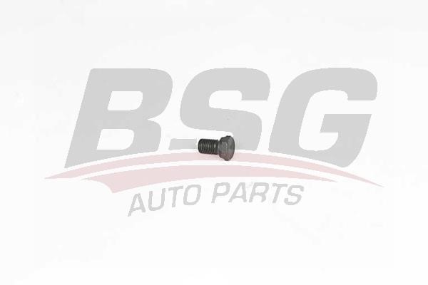 BSG 15-230-001 Sump plug 15230001: Buy near me at 2407.PL in Poland at an Affordable price!