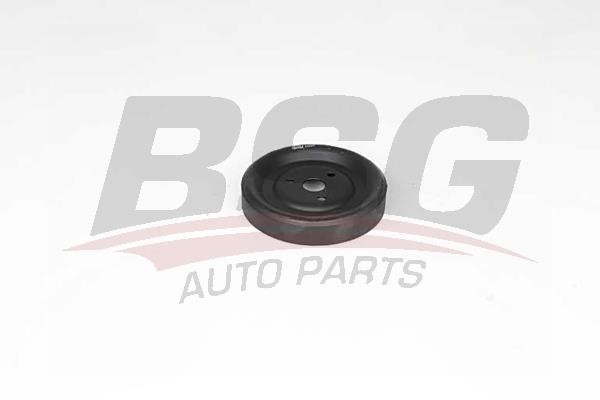 BSG 15-501-001 Coolant pump pulley 15501001: Buy near me in Poland at 2407.PL - Good price!