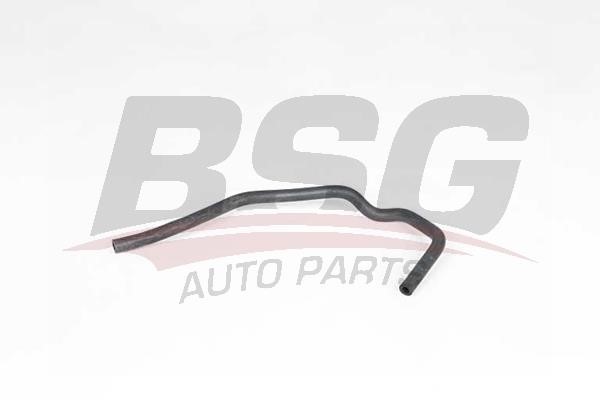 BSG 65-700-401 Hose, cylinder head cover breather 65700401: Buy near me in Poland at 2407.PL - Good price!