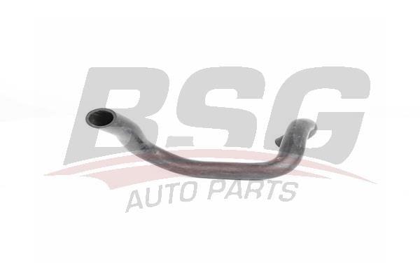 BSG 65-720-173 Hose, crankcase breather 65720173: Buy near me in Poland at 2407.PL - Good price!