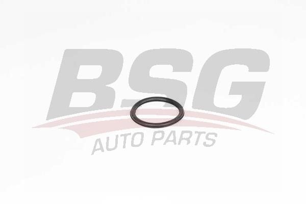 BSG 75-116-008 Termostat gasket 75116008: Buy near me at 2407.PL in Poland at an Affordable price!
