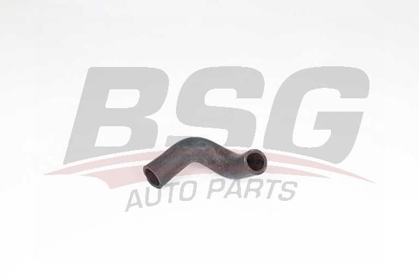 BSG 65-700-425 Hose, crankcase breather 65700425: Buy near me in Poland at 2407.PL - Good price!