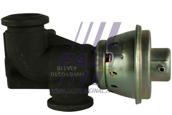 Fast FT60233 Клапан рециркуляции отработанных газов EGR FT60233: Отличная цена - Купить в Польше на 2407.PL!
