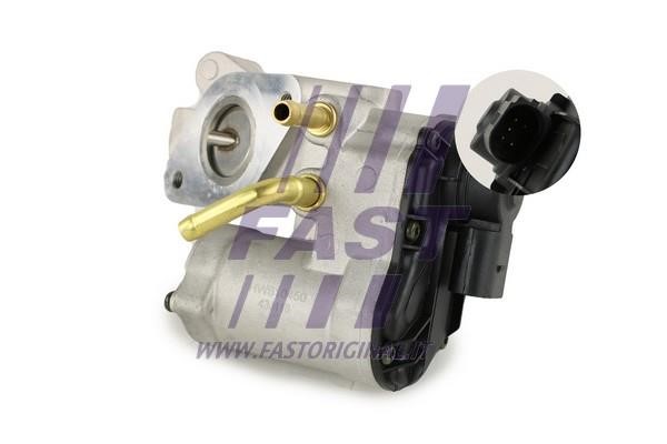 Fast FT60208 EGR Valve FT60208: Buy near me in Poland at 2407.PL - Good price!