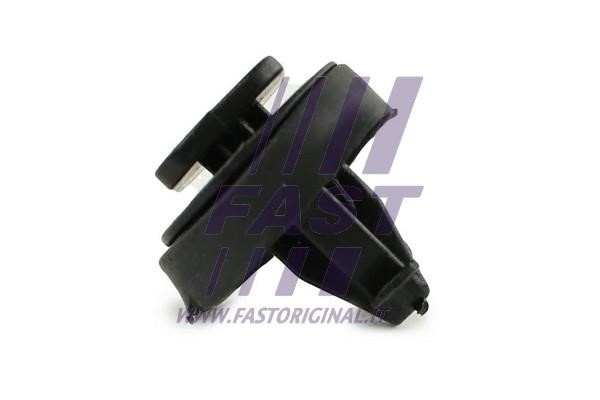 Fast FT96310 Зажим, молдинг / защитная накладка FT96310: Отличная цена - Купить в Польше на 2407.PL!