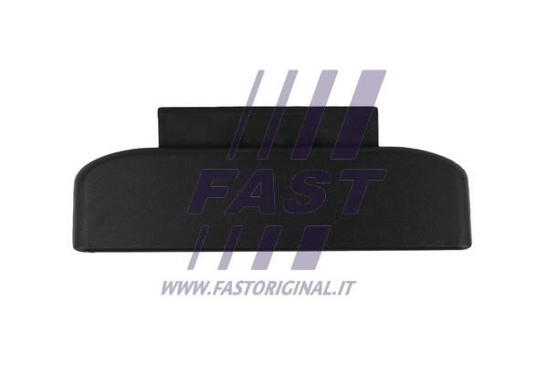 Fast FT95493 Door Handle FT95493: Buy near me in Poland at 2407.PL - Good price!