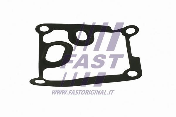 Fast FT38801 Прокладка, масляный радиатор FT38801: Отличная цена - Купить в Польше на 2407.PL!