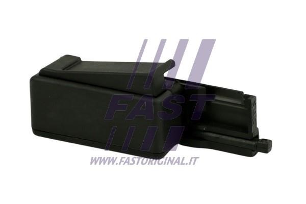 Fast FT94438 Retaining Clip, windows FT94438: Buy near me in Poland at 2407.PL - Good price!