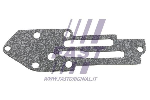 Fast FT49916 Прокладка, масляный радиатор FT49916: Отличная цена - Купить в Польше на 2407.PL!