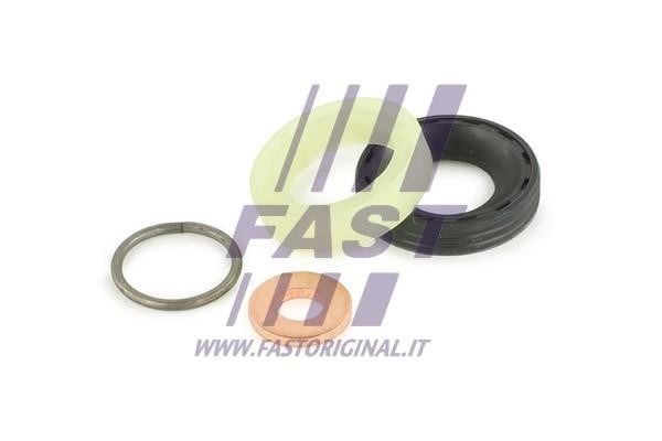 Fast FT49842 Seal Kit, injector nozzle FT49842: Buy near me in Poland at 2407.PL - Good price!