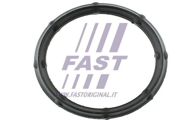 Fast FT49424 Прокладка впускного колектора FT49424: Приваблива ціна - Купити у Польщі на 2407.PL!