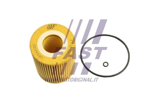 Fast FT38101 Oil Filter FT38101: Buy near me at 2407.PL in Poland at an Affordable price!
