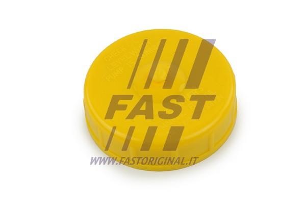 Fast FT94743 Seal Ring, power steering pump blanking plug FT94743: Buy near me at 2407.PL in Poland at an Affordable price!