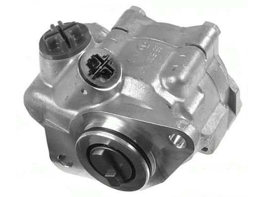DSS 450041 Hydraulic Pump, steering system 450041: Buy near me in Poland at 2407.PL - Good price!