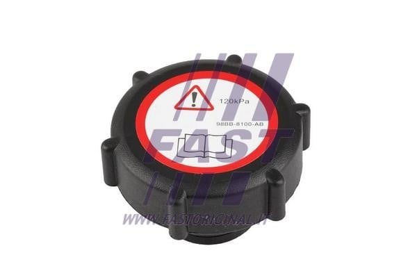 Fast FT94738 Radiator caps FT94738: Buy near me in Poland at 2407.PL - Good price!