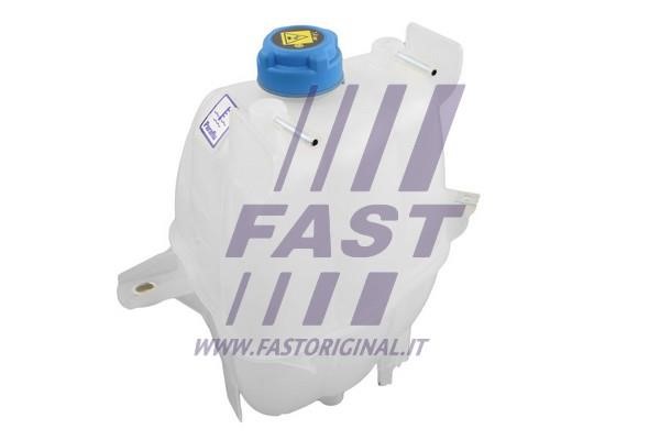 Fast FT61244 Соти радіатора FT61244: Приваблива ціна - Купити у Польщі на 2407.PL!