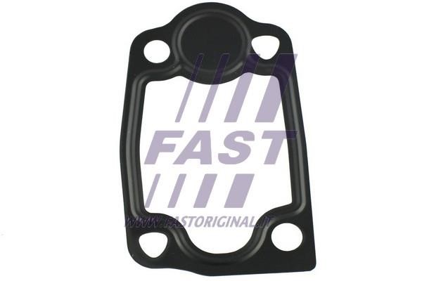 Fast FT49903 Termostat gasket FT49903: Buy near me at 2407.PL in Poland at an Affordable price!