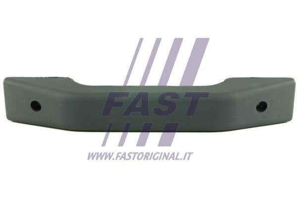Fast FT94265 Door Handle FT94265: Buy near me in Poland at 2407.PL - Good price!
