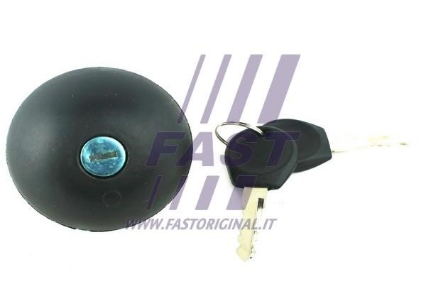 Fast FT94647 Fuel Door Assembly FT94647: Buy near me in Poland at 2407.PL - Good price!
