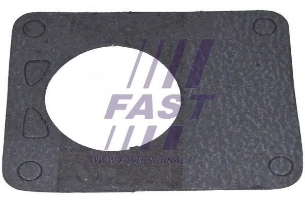 Fast FT49901 Seal FT49901: Buy near me in Poland at 2407.PL - Good price!
