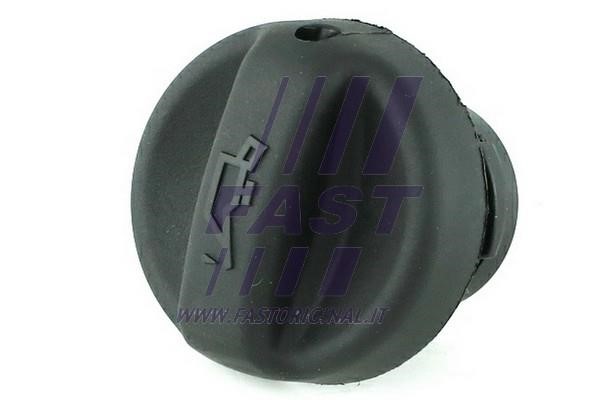 Fast FT94728 Oil drain plug FT94728: Buy near me in Poland at 2407.PL - Good price!