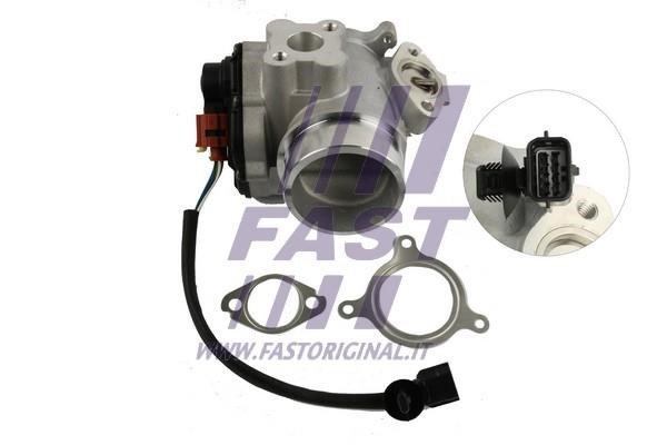 Fast FT60209 Клапан рециркуляции отработанных газов EGR FT60209: Отличная цена - Купить в Польше на 2407.PL!