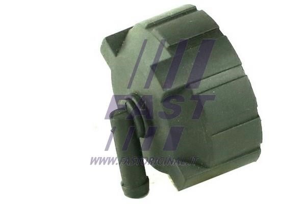 Fast FT94730 Cap, coolant tank FT94730: Buy near me in Poland at 2407.PL - Good price!