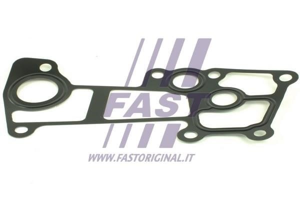 Fast FT49904 Gasket, cylinder head cover FT49904: Buy near me in Poland at 2407.PL - Good price!