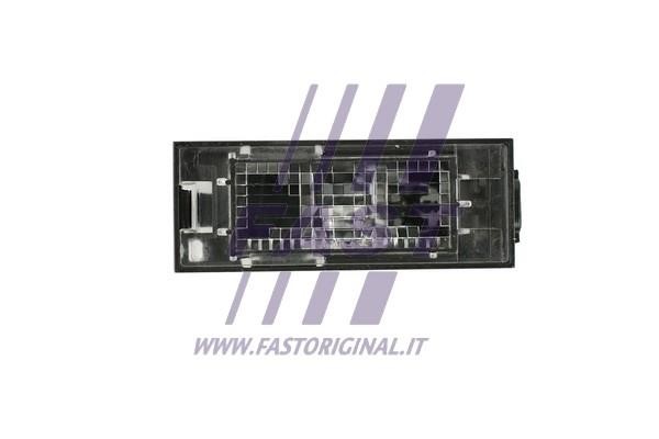 Fast FT87811 License lamp FT87811: Buy near me in Poland at 2407.PL - Good price!