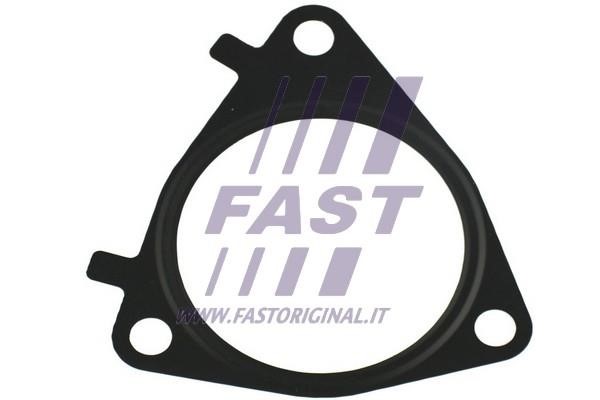 Fast FT49546 Dichtung, AGR-Ventil FT49546: Kaufen Sie zu einem guten Preis in Polen bei 2407.PL!