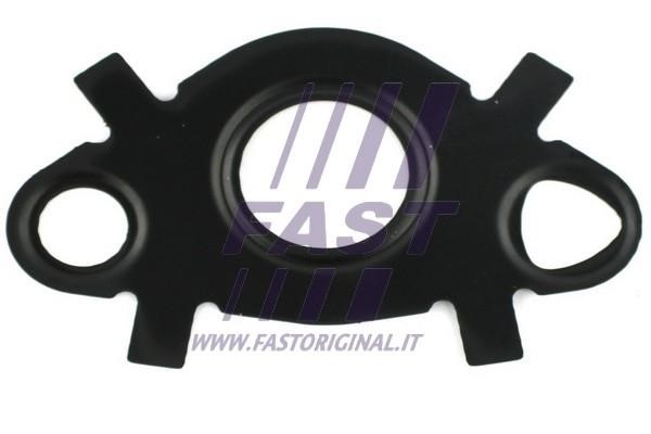 Fast FT49547 Seal, oil cooler FT49547: Buy near me in Poland at 2407.PL - Good price!